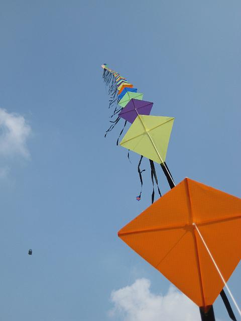 Drachenfest Bergeijk 2009 089.jpg